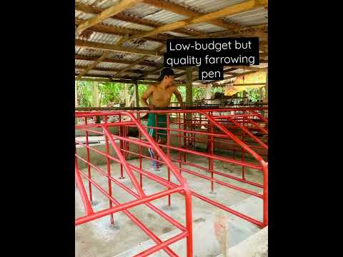 Low-budget kulungan ng baboy.