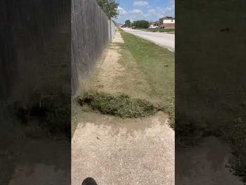 SATISFYING grass blowing EGO 56V