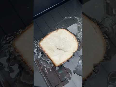 Why Your Lunch Gets Soggy (And How to Fix It)