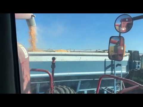 2019 Corn harvest part 4, things starting to wear out.
