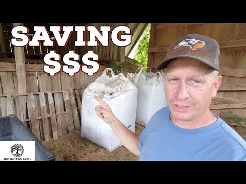 Feeding Made Cheap AND Easy!