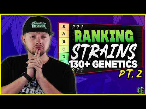 I Ranked EVERY STRAIN I’ve Ever Grown (S Tier to F Tier… No Mercy) pt. 2