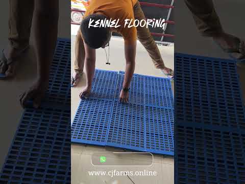 The Best Kennel Flooring for Your Dog | cj farms#plasticslattedfloor #dogcagefloor #dogcage