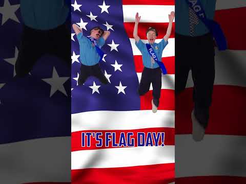 Flag Day (Friday Parody) | FlagandBanner.com #flag #usa #rebeccablack #friday #flagday #funny