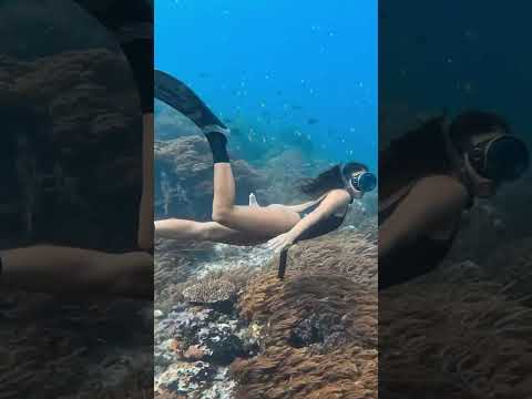 Eryn Krouse - "The Last Paradise" #music #slowed #sloweddown #slowedsongs
