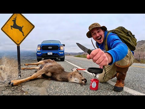 ROADKILL Deer Catch & Cook!!! (Full Process...)