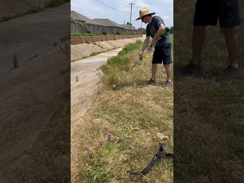 Neighborhood TRASH CLEAN UP