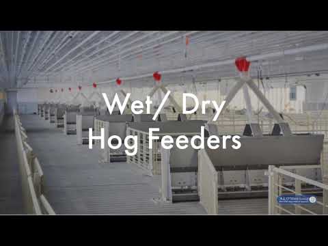 Why Wet / Dry Hog Feeders? | O'Mara Hog Feeders and Equipment