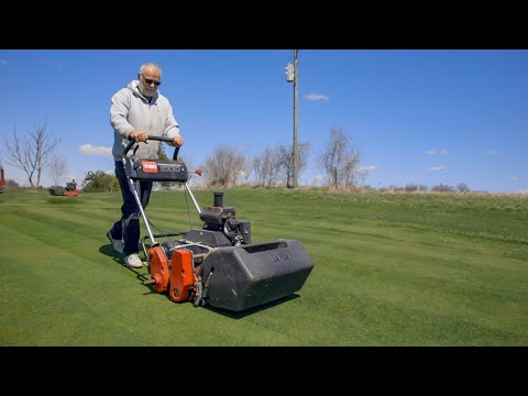 Mowing Our Green for the First Time in 6 Months!