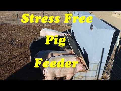 Automatic Pig Feeder Build | 400lb Capacity Hog Feeder