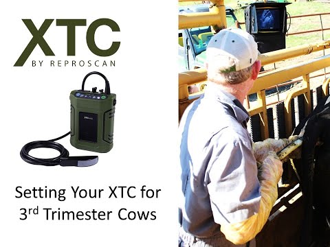 Tips for Setting Your XTC for 3rd Trimester Pregnancy Testing Beef Cows