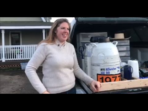 Liquid Nitrogen Tank - A Buyer's Guide