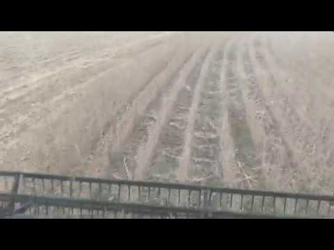 End of 2019 Soybean harvest, it's snowing
