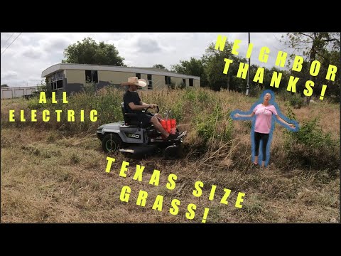 HORRIBLY Overgrown TEXAS Yard Transformation