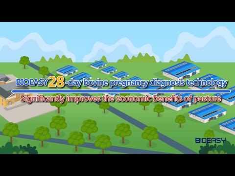 BIOEASY 28-Day Bovine Pregnancy Rapid Test Card