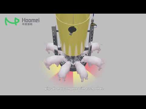 Hoomei's pig dry and wet feeder