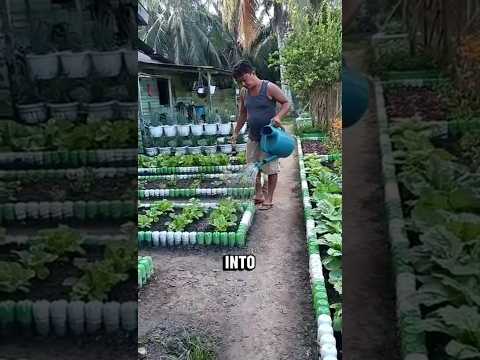 Small Yard, Big Transformation | Dream Garden with Recycled Bottles
