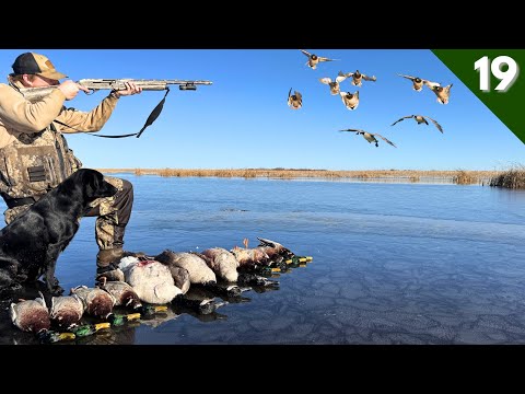 DUCK HUNTING A 10 Yard Wide ICE HOLE | Tight Decoying MALLARDS
