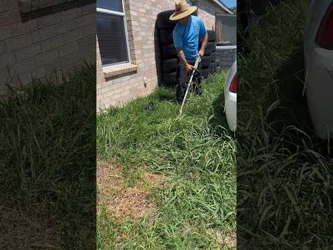 Uncovering HIDDEN Objects In The Grass