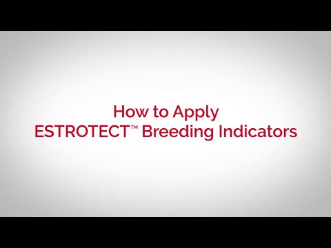 ESTROTECT™ Breeding Indicator Application Step-by-Step | ESTROTECT
