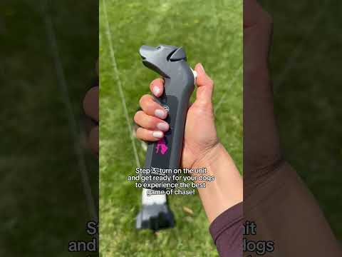 SwiftPaws is the Best Dog Toy Ever
