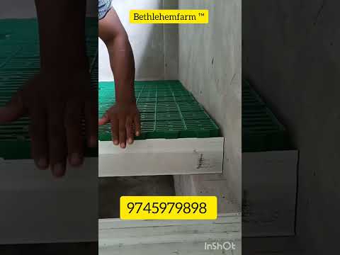 Pig plastic floor mat 2*1 size 10 mm passing hole #flooring #pigdryfarming #piggerybusiness #pig