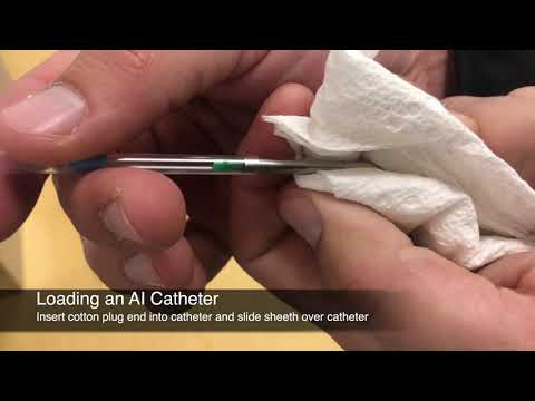 Preparing and Handling Catheters for Artificial Insemination of Cattle - Mizzou Repro