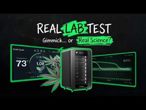 We Sent VCure for Lab Testing — Here’s What We Found
