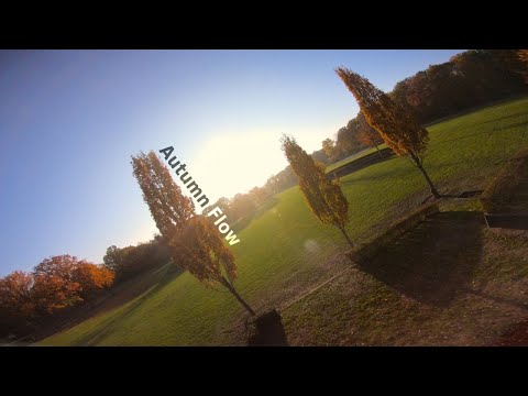 Autumn Flow | FPV Freestyle [4K]