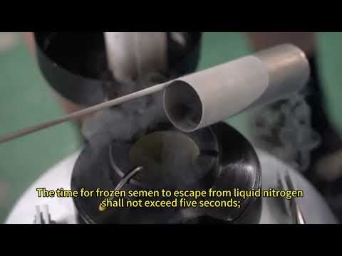 4 things to note when storing frozen semen in liquid nitrogen tanks