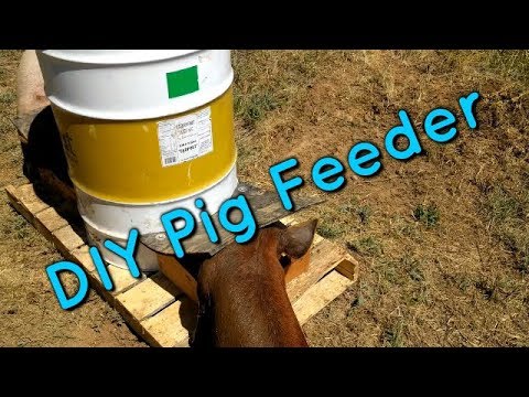 DIY Pig Feeder, Part 3 of 3