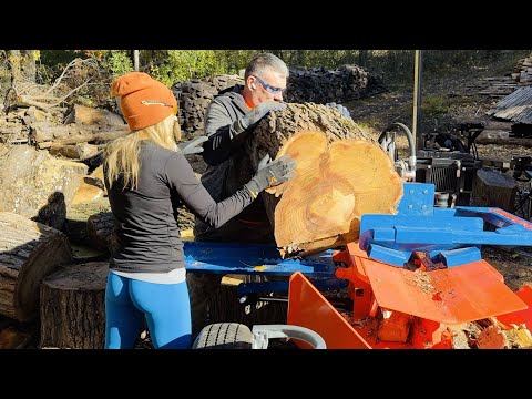 Big Heavy Firewood - They Call it Mulberry