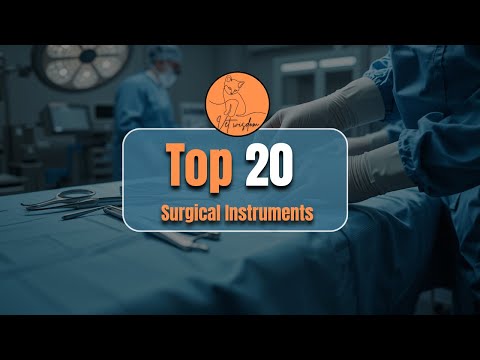 Essential Vet Tools That Make or Break Your Clinical Success