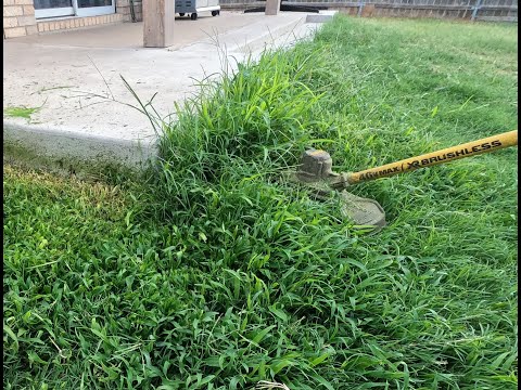 SATISFYING 4K Yard Edging, Cutting, Weed Wacking