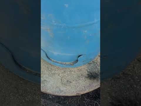 Building Automatic Pig Feeder #farming #farm  #homestead #organic #pigs #pig #animals #piggy #diy