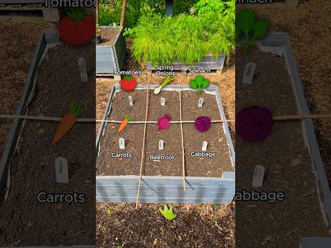 1 Small Bed, 6 Different Crops (Square Foot Growing)