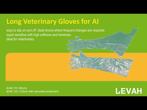 LEVAH -veterinary insemination gloves, veterinary disposable gloves, vet glove, China factory
