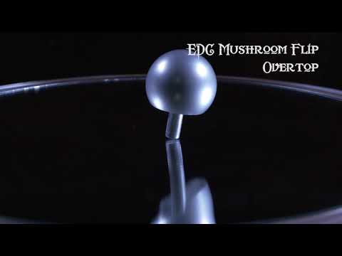 EDC Mental Mushroom Flip Over top