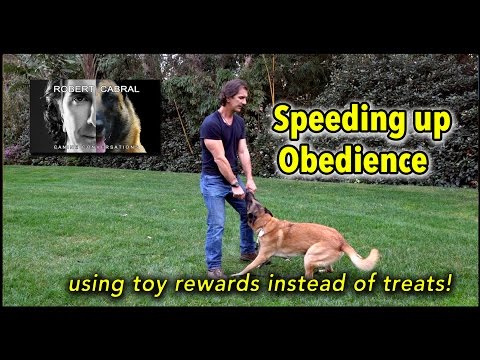 #16 Using Toys to Speed Up Obedience - Dog Training