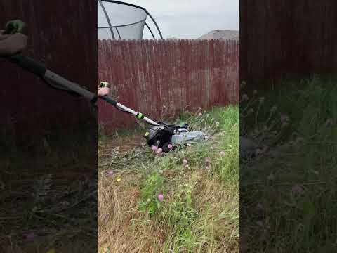 MASSIVE WEED vs Electric Lawn Mower (6 FEET TALL)