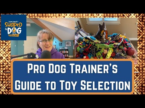 Pro Dog Trainer's Guide to Toy Selection #55