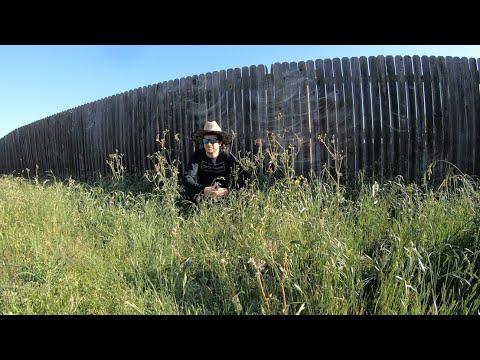TALL 4K grass cutting with all ELECTRIC Ego 56V Equipment
