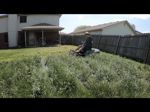 4K Backyard OVERGROWN homeowner saw SNAKES