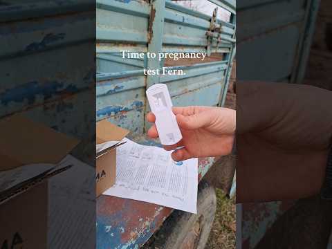 Have you ever seen an at home cow pregnancy test?? #pregnancytest #ttc #jerseycows