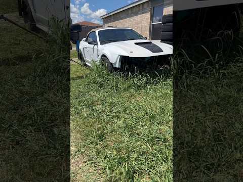 Grass Trying To TAKE OVER The Car!