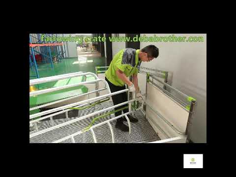 farrowing crate