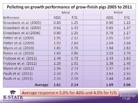 Dr. Joel DeRouchey - Feed Price Update and Daily Feed Efficiency Drivers