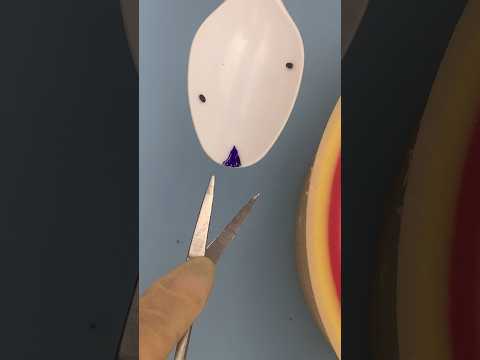 DIY Tick Removal Tool #lifehacks #tutorial #tickremoval #vet #medicine  #funfacts #oddlysatisfying