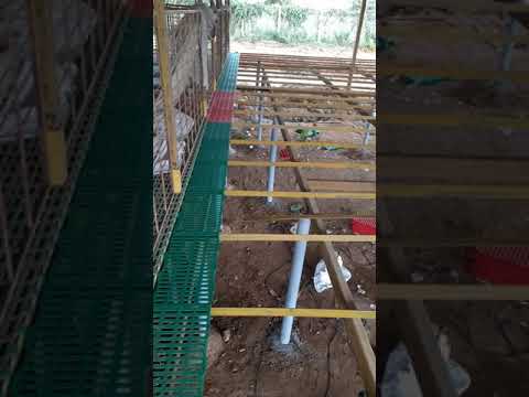 goat farm slatted flooring 📲 9445257164(1)
