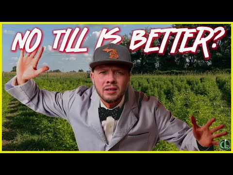 Does No-Till Actually Produce Better Terpenes? This Study Might Shock Growers